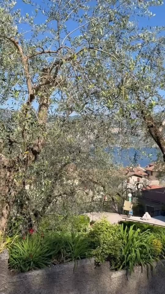 April 25, 2026 – Women’s 35+ Doubles Tennis Team Completes Season Prep, Looks Ahead to Successful Campaign